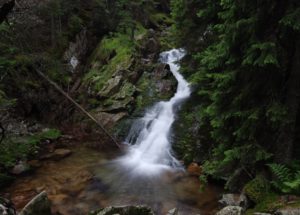 Raw Water Turns Out To Be a Scam In More Ways than One