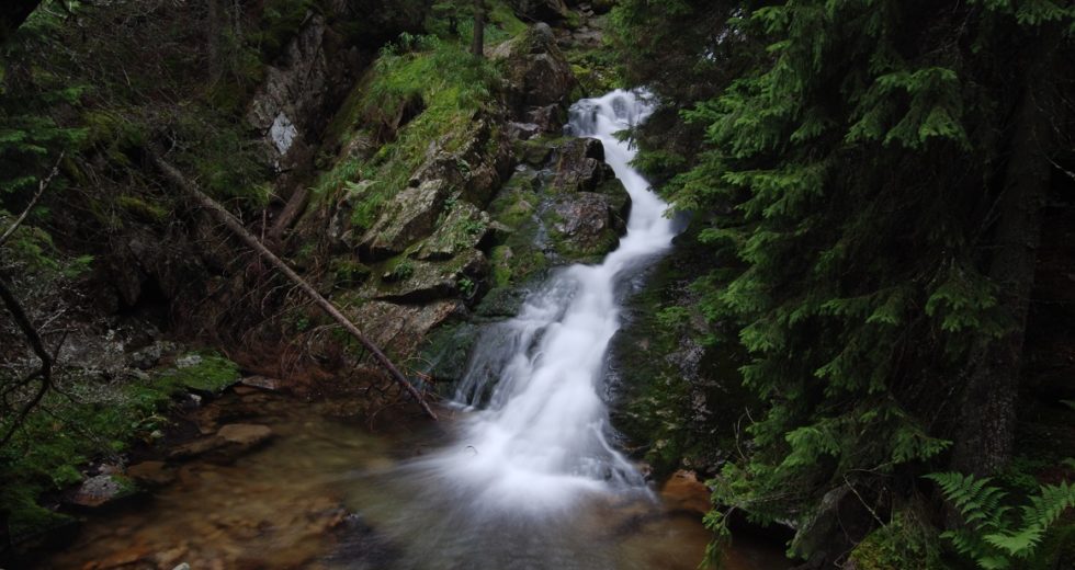 Raw Water Turns Out To Be a Scam In More Ways than One