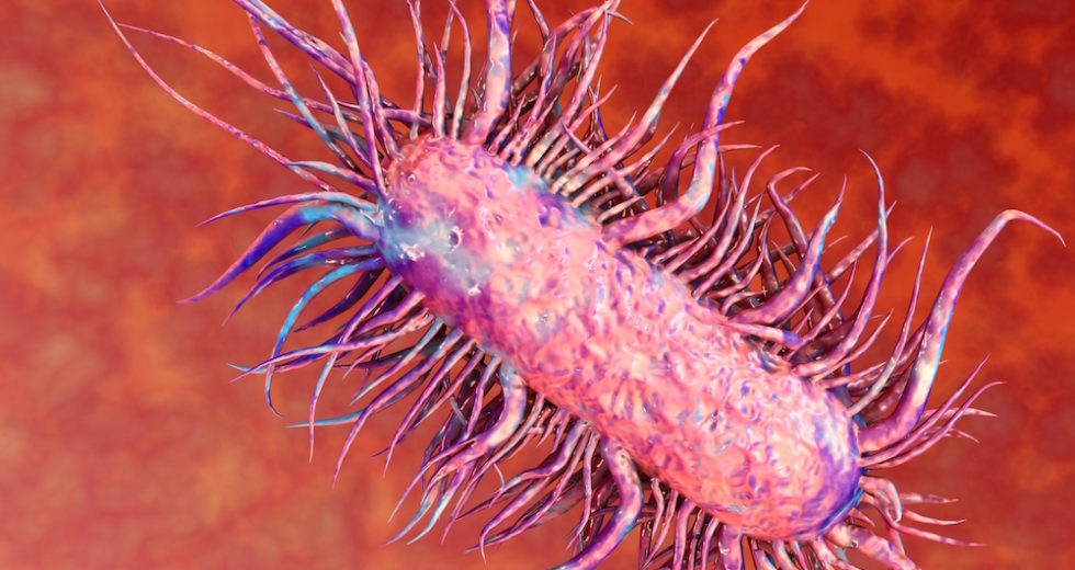 The Reason Why Flesh-Eating Bacteria Can Be Mistaken With Influenza