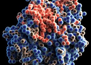 Scientists Have Discovered How Many Protein Molecules Are In A Single Cell