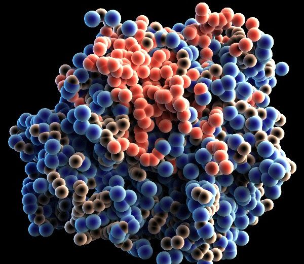 Scientists Have Discovered How Many Protein Molecules Are In A Single Cell