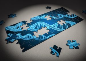 Genetically Engineered Microbe Produces New Proteins