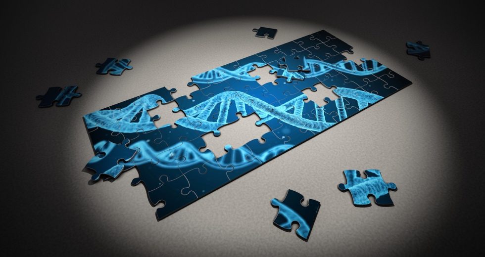 Genetically Engineered Microbe Produces New Proteins