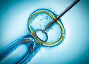 Scientists Have Cloned Primates For The First Time In History – Will Human Cloning Come Next?