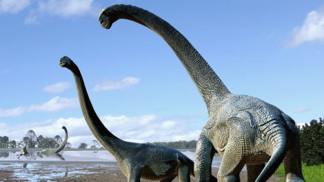 A New Dinosaur Species Have Been Discovered In Egypt