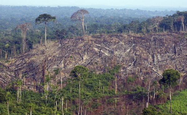 The Amazon Rainforest Is Heading Towards A Critical Point