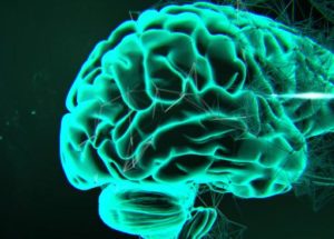 A New Study Reveals That Autism, Schizophrenia And Bipolar Disorder Have Something In Common
