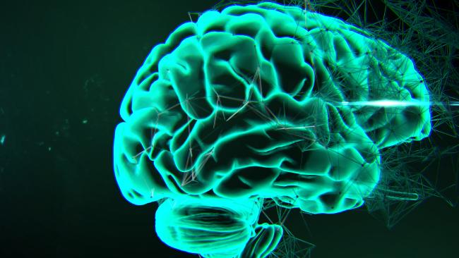 A New Study Reveals That Autism, Schizophrenia And Bipolar Disorder Have Something In Common