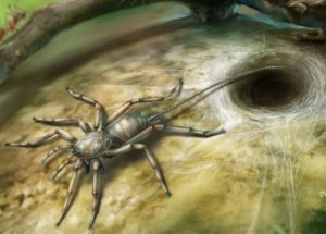 100 Million-Year-Old Spider Fossils Found Trapped In Amber