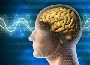 A New Mind-Reading Technology Has Been Developed By Canadian Scientists