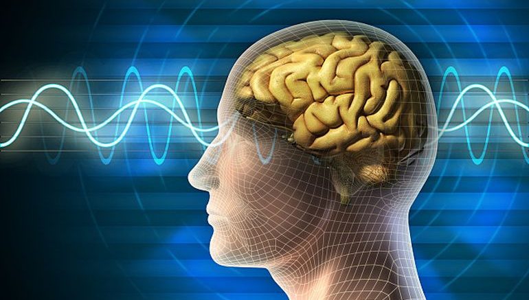 A New Mind-Reading Technology Has Been Developed By Canadian Scientists