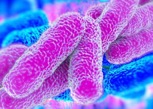 Insufficient Chlorine Level Provokes Lethal Legionella Epidemic