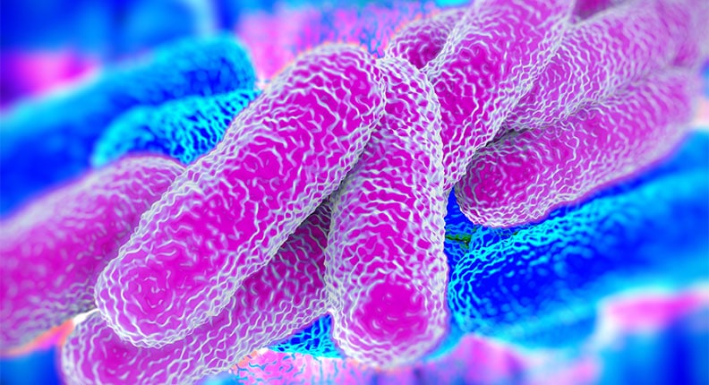Insufficient Chlorine Level Provokes Lethal Legionella Epidemic
