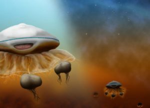 What Do Aliens Look Like Actually