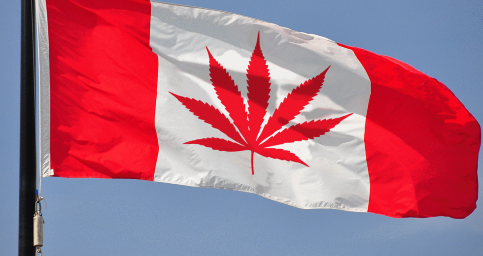 Justin Trudeau Increases Efforts To Legalize Recreational Marijuana In Canada