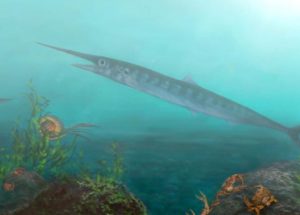 90 Million-year-old Fish Fossil Discovered By Accident, Scientists Couldn’t Believe Their Eyes