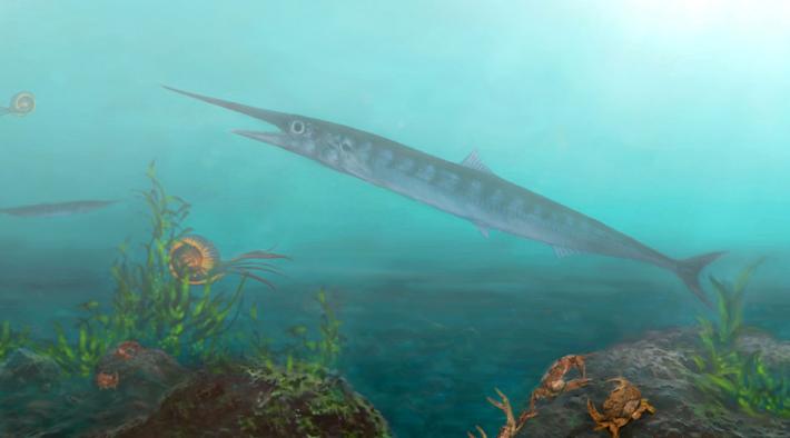 90 Million-year-old Fish Fossil Discovered By Accident, Scientists Couldn’t Believe Their Eyes