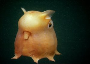 Scientists have made an Amazing Discovery in the Deep Sea
