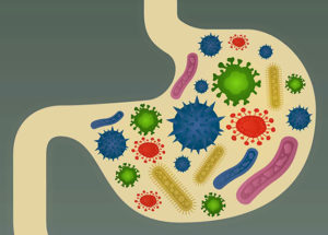 Easy Ways To Increase Your Good Gut Bacteria
