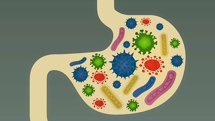 Easy Ways To Increase Your Good Gut Bacteria