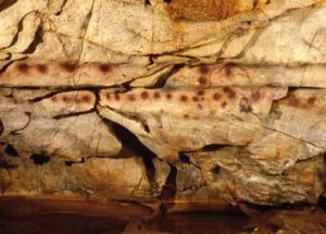 Spanish Cave Art Was Made By Neanderthals
