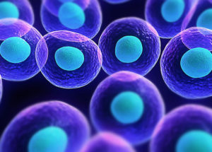 A Dynamic Code Communication Is Used By The Cells