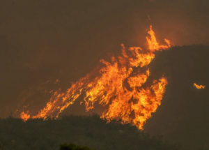 Shocking Study Revealed That The Wildfires In South Africa Are Producing Climate Cooling