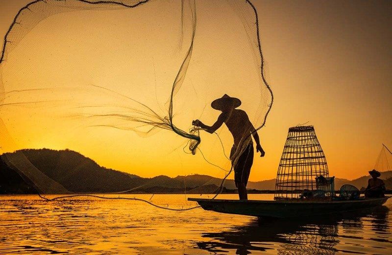 By 2048 There Might not be Any Fish Left in Asia