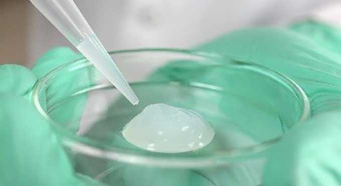 Chinese Researchers Produced An Anticancer Hydrogel Based On Black Phosphorus To Reduce Cancer Readmission