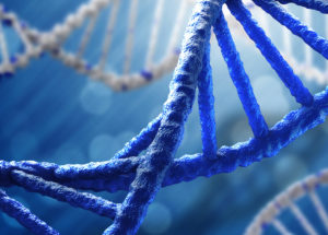 Best Ancestry DNA Tests And How They Work