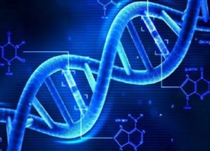 The Gene That Causes Autism Has Been Discovered