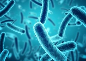 Disease X Update – A Danger to the Human Kind?