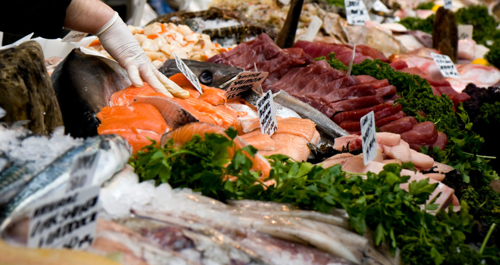 How are Authorities Fighting to End the Seafood Black Market