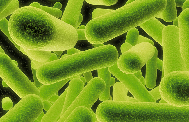 A Texan Lost His Leg Due To Flesh-Eating Bacteria
