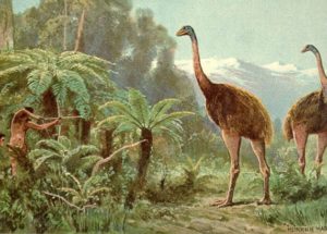 Scientists May Revive An Extinct Bird As They’ve Reconstructed Its Genome