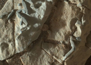 A Scientist Is Accusing NASA Of Covering Up The Existence Of Alien Life On Mars
