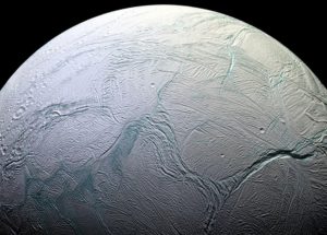 Microscopic Organisms to Survive the Environment of Enceladus?