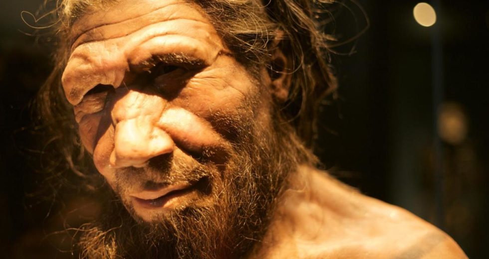 Shocking Discovery Shows That Neanderthals Were More Evolved Than We Thought