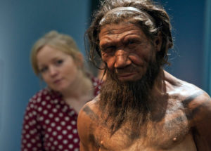 New study shows that humans have interbreed in the past