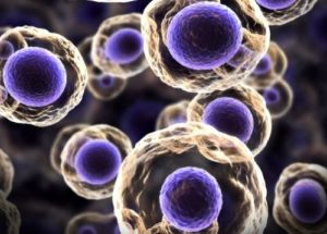 Scientists From The Netherlands Created A New Life Form Trying To Find LUCA