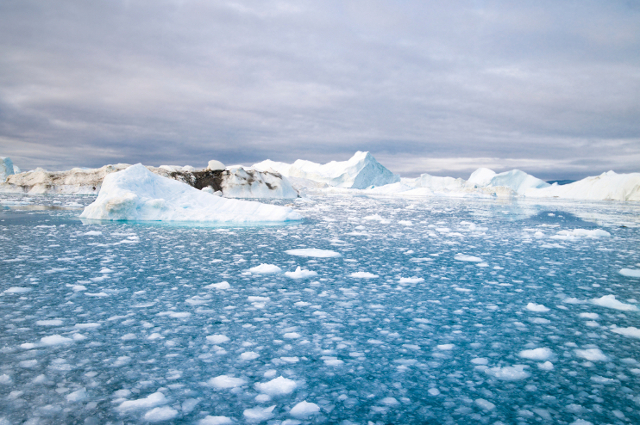 The Arctic Ice Melting to be a Reason for Territorial Arguments?