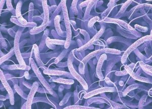 The Cholera Infection Detected Last Week is Still Evolving