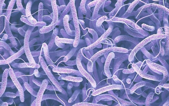 The Cholera Infection Detected Last Week is Still Evolving