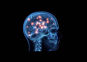 The Paradoxical Sleep Maintains Our Mental Health