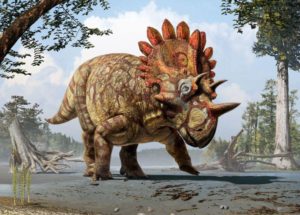 What Was the Reason for Dinosaurs’ Frills and Horns?