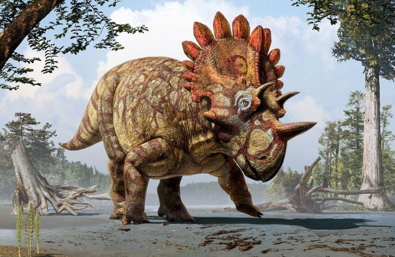 What Was the Reason for Dinosaurs’ Frills and Horns?
