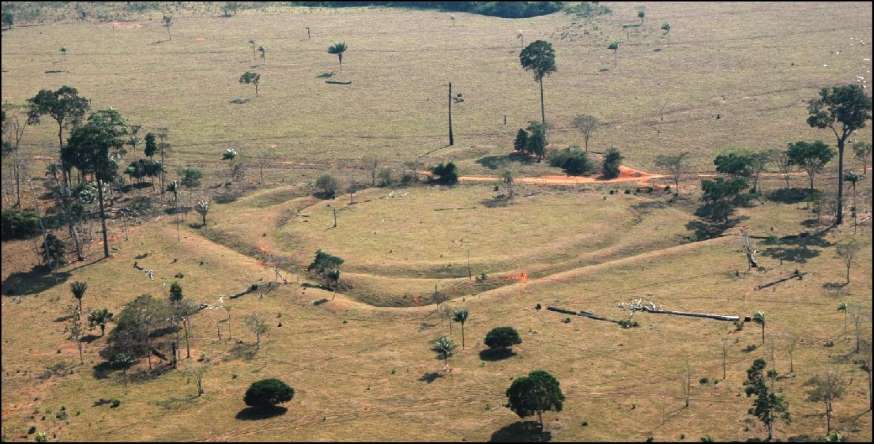 The Surprising Findings In The Amazon Jungle That Can Rewrite The History Of The World’s Largest Jungle