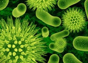 Antibiotic-Resistant Bacteria -Superbugs- Represent A Serious Global Threat