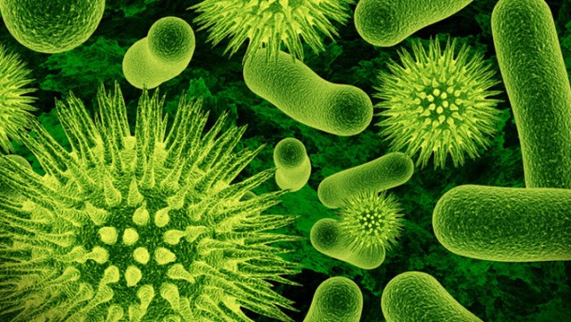 Antibiotic-Resistant Bacteria -Superbugs- Represent A Serious Global Threat