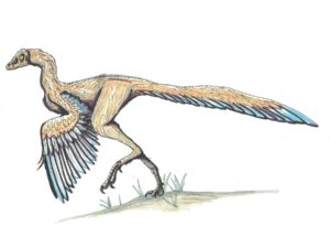 Archaeopteryx Was A Dinosaur-Bird Hybrid That Resembled Turkeys And Pheasants, A New Study Reveals